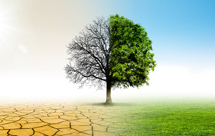 Image of a tree. Ther are photo effects to make the tree look like it has 2 split sides. The left side the tree has not leaves and you can see its branches, and the dry cracked muddy dirt it is planned in. The right side shows a tree green with leaves and vibrant green grass.